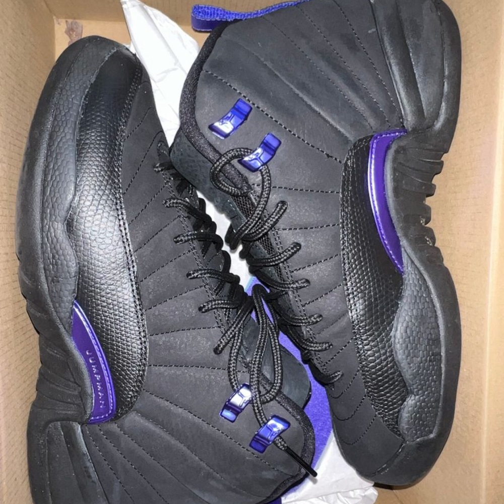 Jordan dark concord 12s